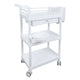 Beauty Salon Trolley Cart Storage Equipment On Wheels