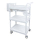 Beauty Salon Trolley Cart Storage Equipment On Wheels