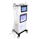 12 in 1 H2o2 Hydro Microdermabrasion Instrument Hydra Oxygen Dermabrasion Machine