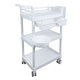 Beauty Salon Trolley Cart Storage Equipment On Wheels