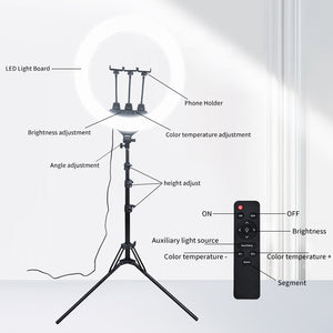 High Quality 2023 21 Inch Led Ring Light with Tripod for Makeup Lighting Ring Lamp