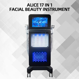 2024 Newest 17 IN 1 Hydra Oxygen Equipment Diamond Microdermabrasion Aqua Peel Hydro Facial Machine Manufacturer