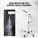 Beauty Salon Equipment Ion Hot Vapour Skin Care Cleaner Machine Facial Steamer