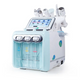 Hydro FacialMachine - LS8056