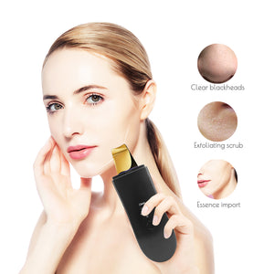 LESEN SERIES skin scrubber with misty ( black body with golden scrubber )