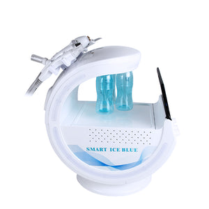 Lesen Skin Analyzer Multi-functional Intelligent Ice Blue Galvanic Machine R009