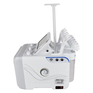 Lesen H2O2 new designed skin tage removal multifunction machine with LED mask R010