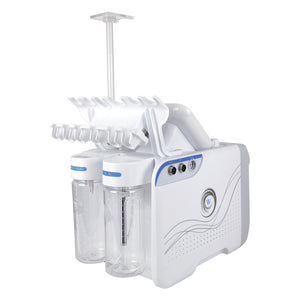 Lesen H2O2 new designed skin tage removal multifunction machine with LED mask R010